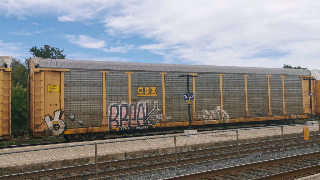 CSX B2122 (Body) TTGX 993599 (Flat)